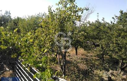 Hacılar Hasandağı Mevkiinde Satılık Bağ 1600m2 Arsalı
