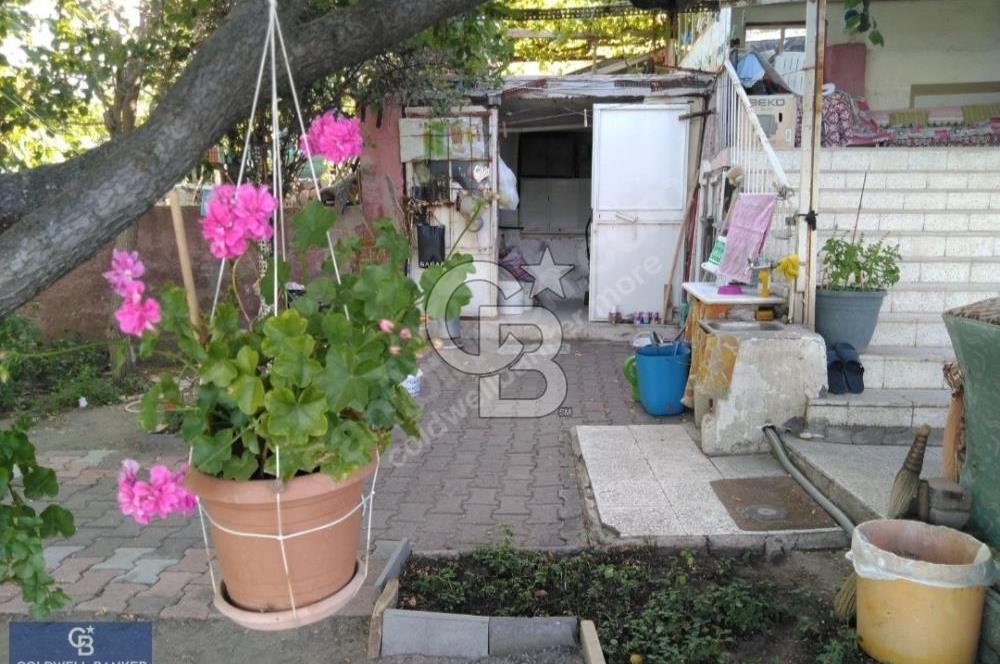 Hacılar Hasandağı Mevkiinde Satılık Bağ 1600m2 Arsalı
