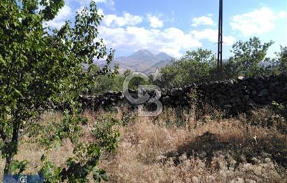 Hacılar Hasandağı Mevkiinde Satılık Bağ 1600m2 Arsalı