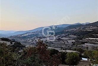 ÇANAKKALE MERKEZ DE SERÇİLER KÖYÜ SATILIK HESAPLI 13.000m2 TARLA