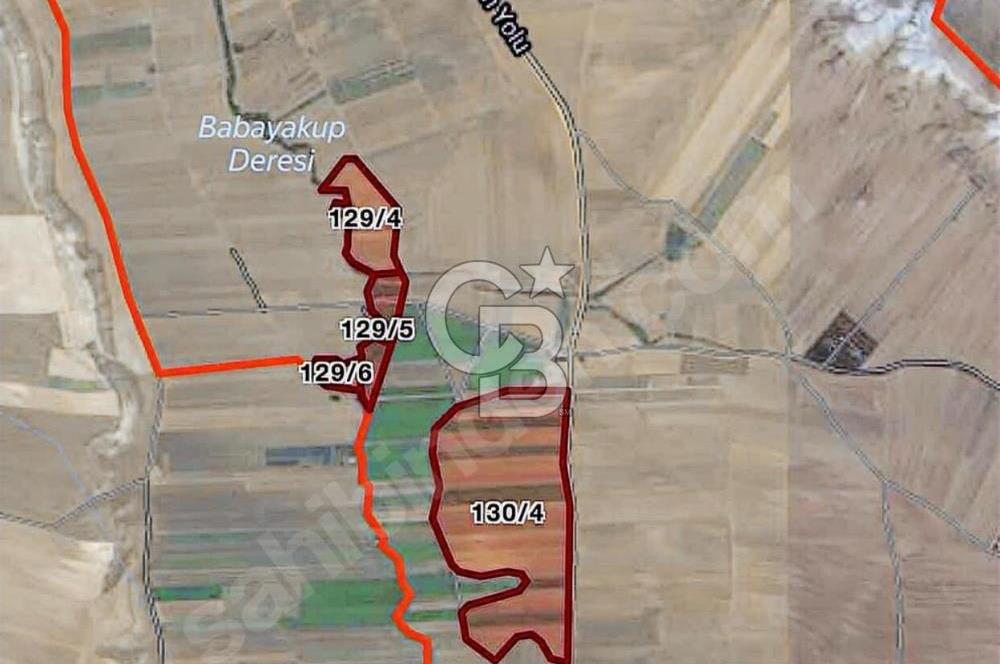 TEMELLİ ÇOKÖRENDE İMAR SINIRI 928 MT2 TARLA