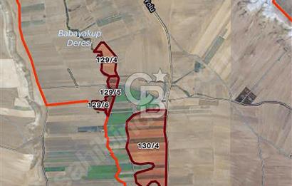 TEMELLİ ÇOKÖRENDE İMAR SINIRI 928 MT2 TARLA