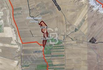 TEMELLİ ÇOKÖRENDE İMAR SINIRI 928 MT2 TARLA