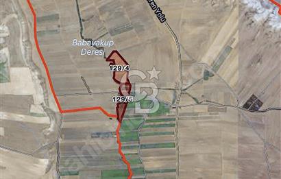 TEMELLİ ÇOKÖRENDE İMAR SINIRI 928 MT2 TARLA