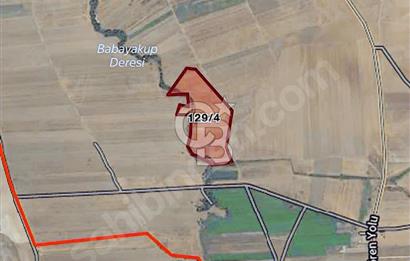 TEMELLİ ÇOKÖRENDE İMAR SINIRI 928 MT2 TARLA