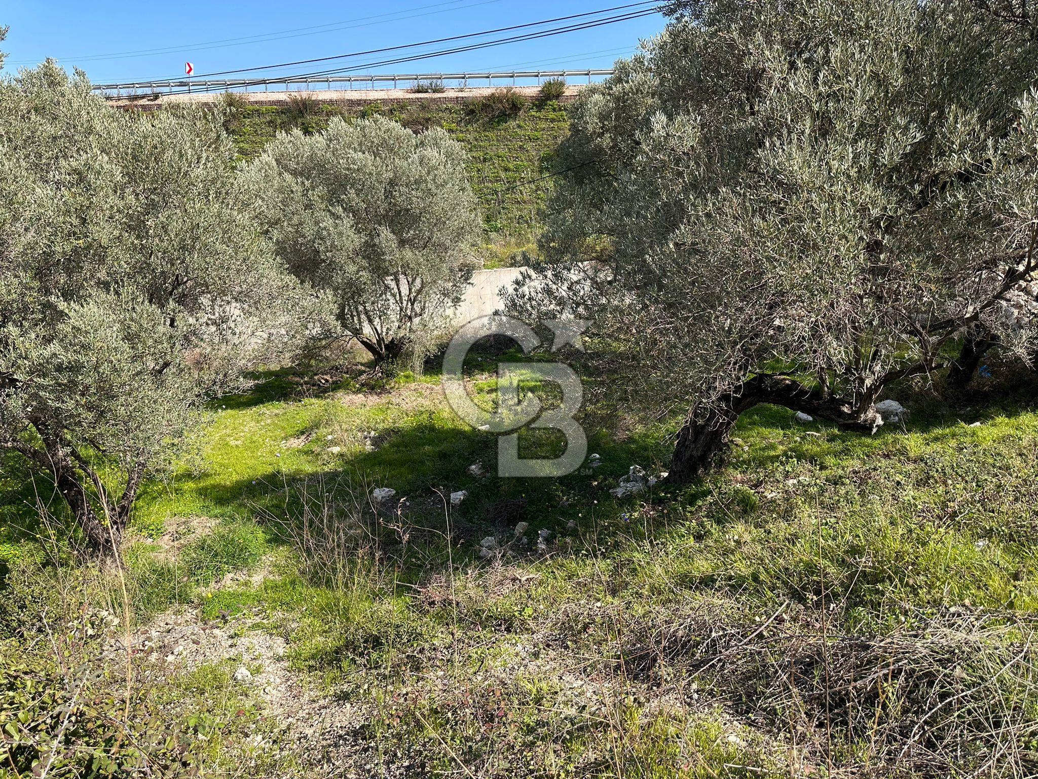 Karaburun Boyabağı Mevkii'nde Tiny House Uygun 380 m2 Arazi
