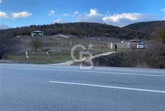 Bozüyük'te D200 Yolunda Satılık 5 Dönüm Bahçe ve Müstakil Ev