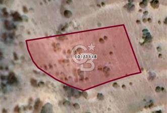 Bilecik Gölpazarı Büyükbelen'de Satılık Tarla 1209 m²