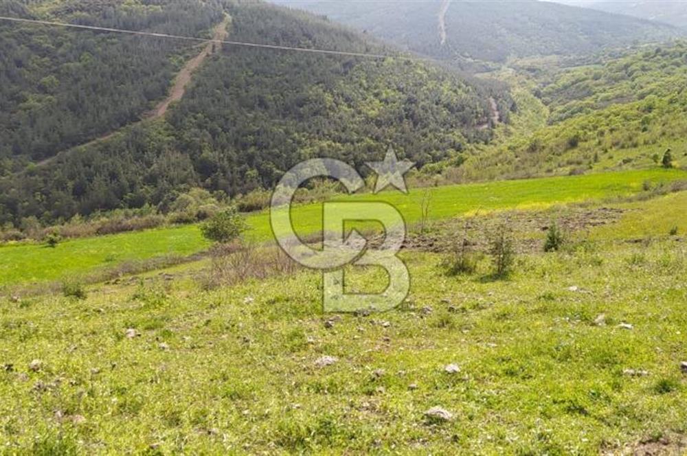 BALIKESİR ALTIEYLÜL BAĞALAN KÖYÜ YATIRIMA UYGUN SATILIK TARLA