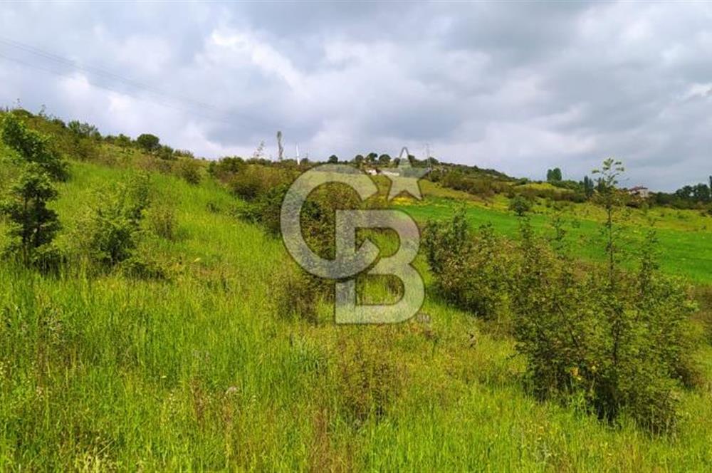 BALIKESİR ALTIEYLÜL BAĞALAN KÖYÜ YATIRIMA UYGUN SATILIK TARLA