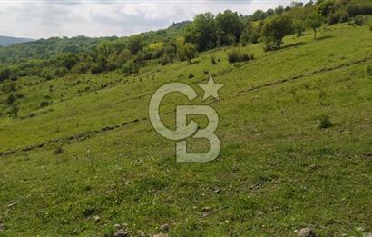 BALIKESİR ALTIEYLÜL BAĞALAN KÖYÜ YATIRIMA UYGUN SATILIK TARLA