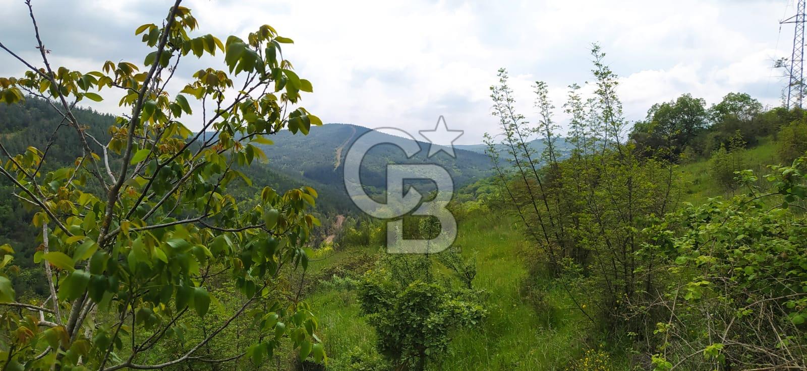 BALIKESİR ALTIEYLÜL BAĞALAN KÖYÜ YATIRIMA UYGUN SATILIK TARLA