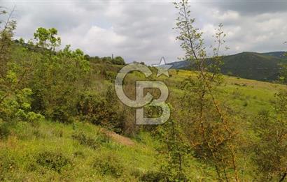 BALIKESİR ALTIEYLÜL BAĞALAN KÖYÜ YATIRIMA UYGUN SATILIK TARLA