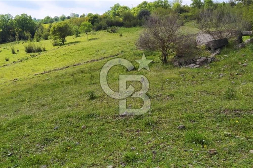 BALIKESİR ALTIEYLÜL BAĞALAN KÖYÜ YATIRIMA UYGUN SATILIK TARLA