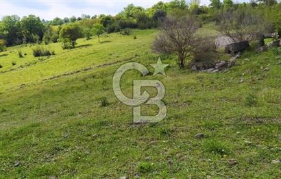 BALIKESİR ALTIEYLÜL BAĞALAN KÖYÜ YATIRIMA UYGUN SATILIK TARLA