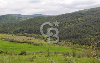 BALIKESİR ALTIEYLÜL BAĞALAN KÖYÜ YATIRIMA UYGUN SATILIK TARLA