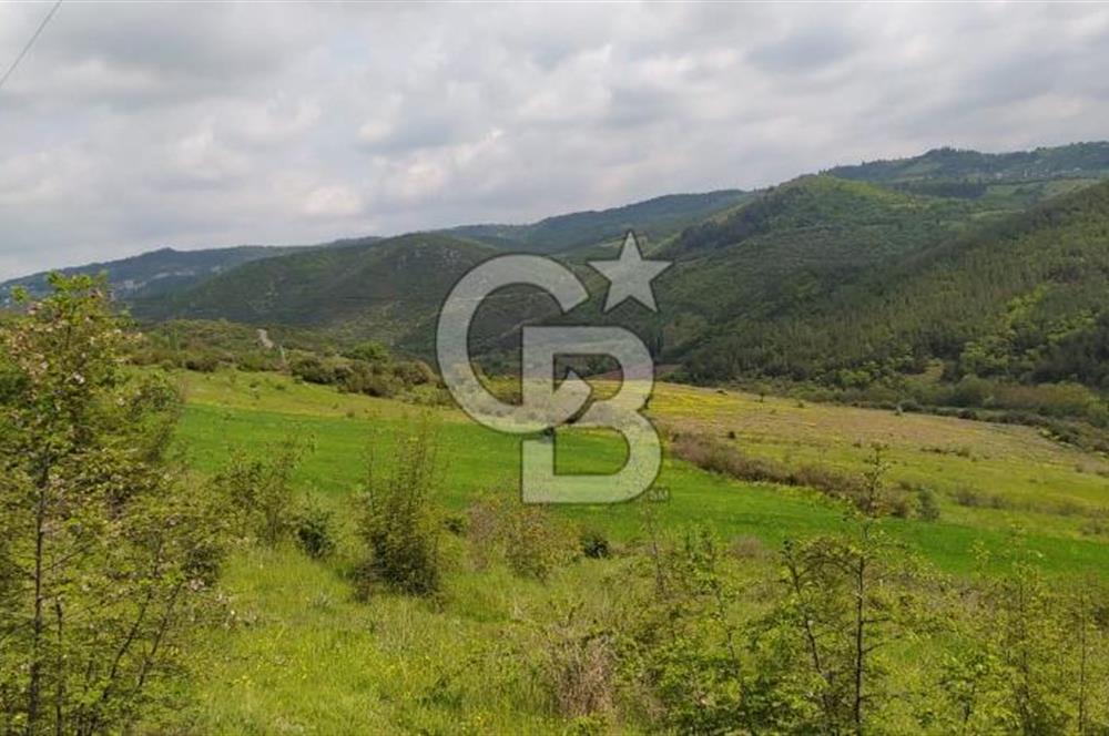 BALIKESİR ALTIEYLÜL BAĞALAN KÖYÜ YATIRIMA UYGUN SATILIK TARLA
