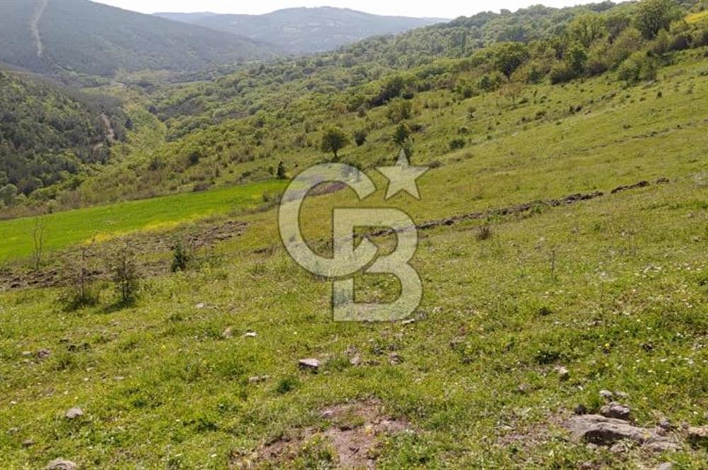 BALIKESİR ALTIEYLÜL BAĞALAN KÖYÜ YATIRIMA UYGUN SATILIK TARLA