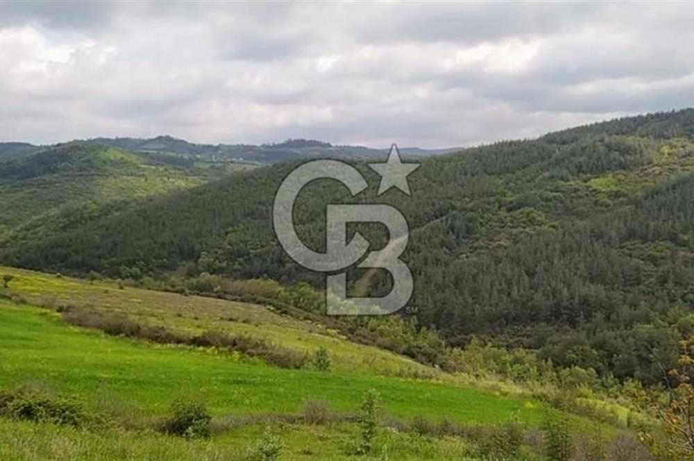 BALIKESİR ALTIEYLÜL BAĞALAN KÖYÜ YATIRIMA UYGUN SATILIK TARLA
