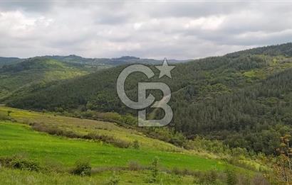 BALIKESİR ALTIEYLÜL BAĞALAN KÖYÜ YATIRIMA UYGUN SATILIK TARLA