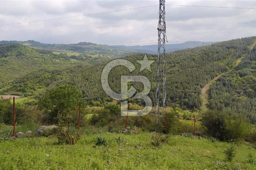 BALIKESİR ALTIEYLÜL BAĞALAN KÖYÜ YATIRIMA UYGUN SATILIK TARLA