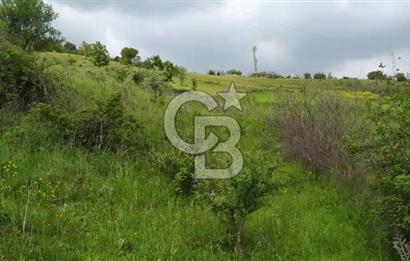 BALIKESİR ALTIEYLÜL BAĞALAN KÖYÜ YATIRIMA UYGUN SATILIK TARLA