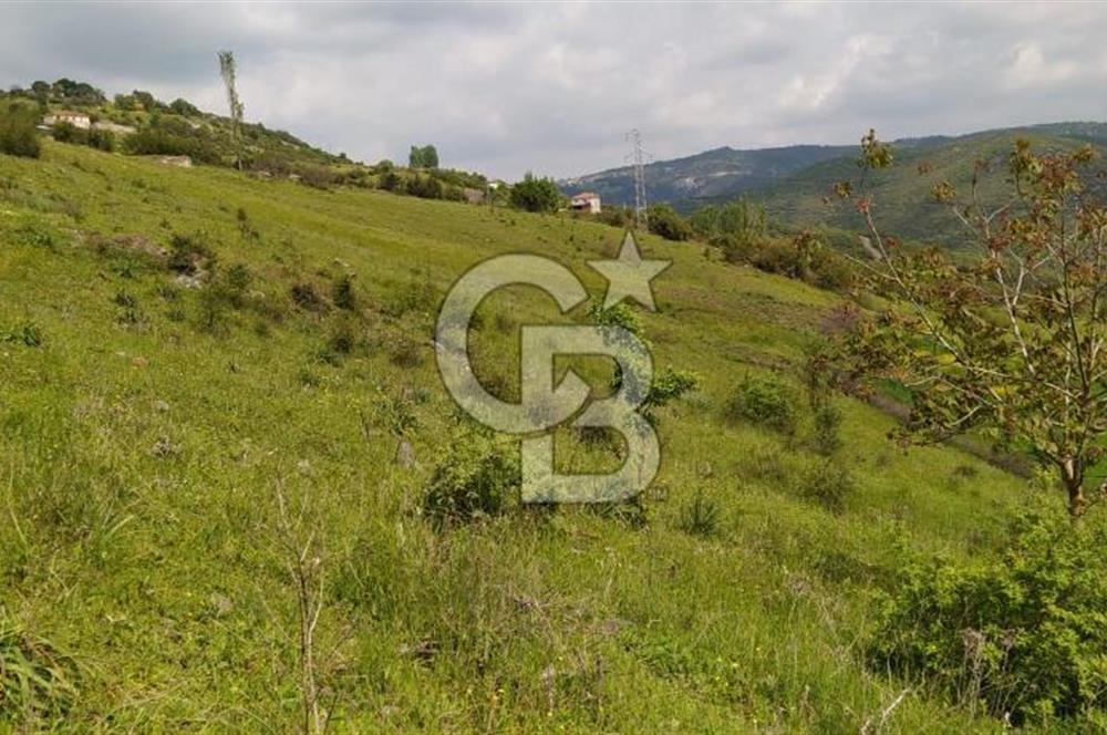 BALIKESİR ALTIEYLÜL BAĞALAN KÖYÜ YATIRIMA UYGUN SATILIK TARLA
