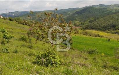 BALIKESİR ALTIEYLÜL BAĞALAN KÖYÜ YATIRIMA UYGUN SATILIK TARLA