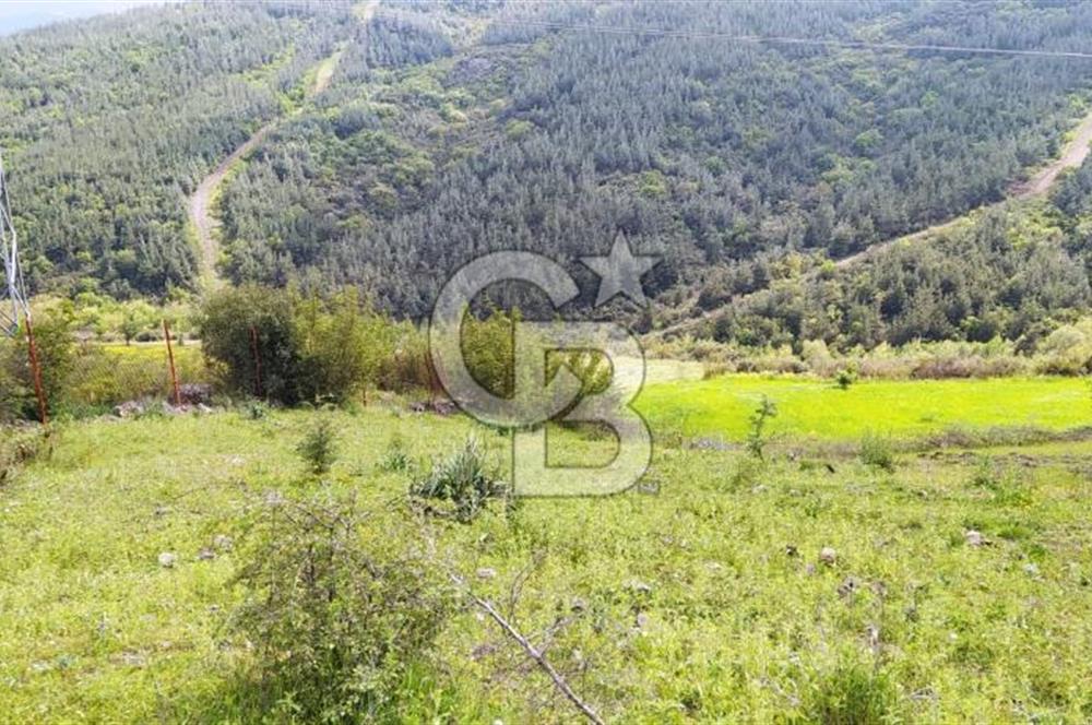 BALIKESİR ALTIEYLÜL BAĞALAN KÖYÜ YATIRIMA UYGUN SATILIK TARLA