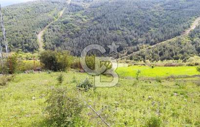 BALIKESİR ALTIEYLÜL BAĞALAN KÖYÜ YATIRIMA UYGUN SATILIK TARLA