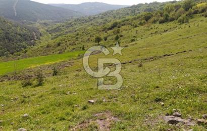 BALIKESİR ALTIEYLÜL BAĞALAN KÖYÜ YATIRIMA UYGUN SATILIK TARLA