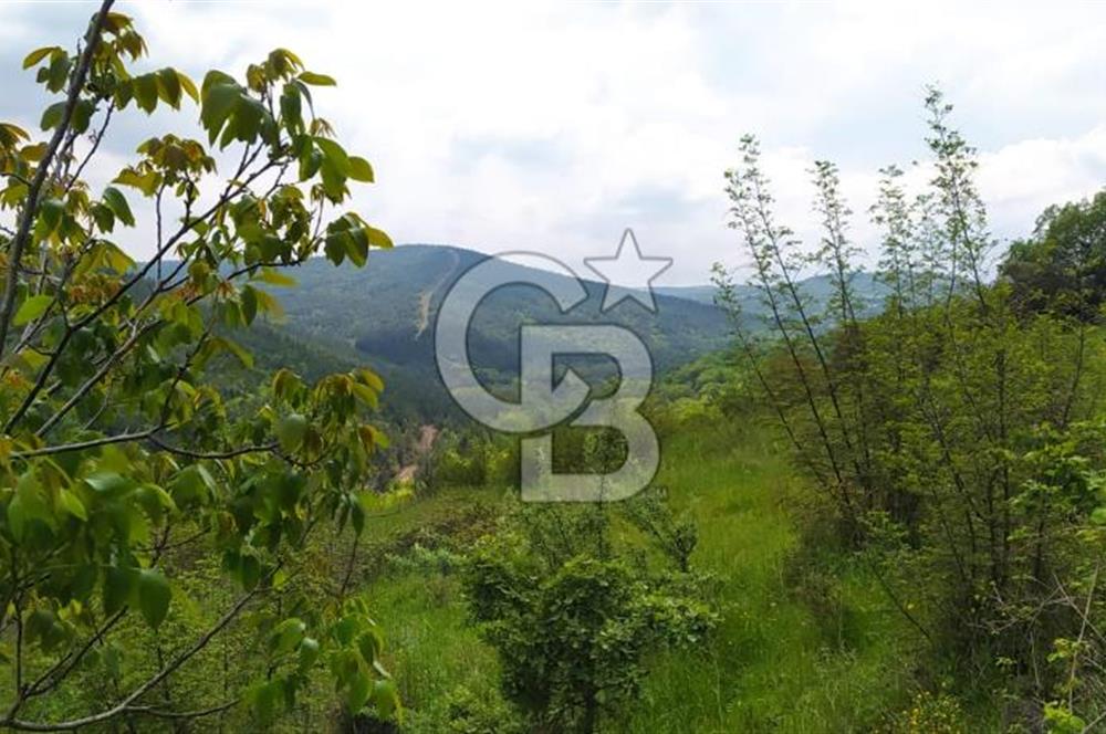 BALIKESİR ALTIEYLÜL BAĞALAN KÖYÜ YATIRIMA UYGUN SATILIK TARLA
