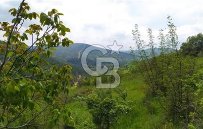 BALIKESİR ALTIEYLÜL BAĞALAN KÖYÜ YATIRIMA UYGUN SATILIK TARLA