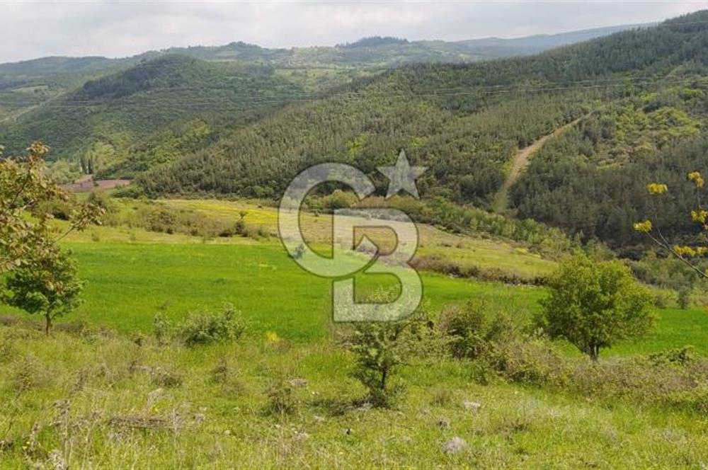 BALIKESİR ALTIEYLÜL BAĞALAN KÖYÜ YATIRIMA UYGUN SATILIK TARLA