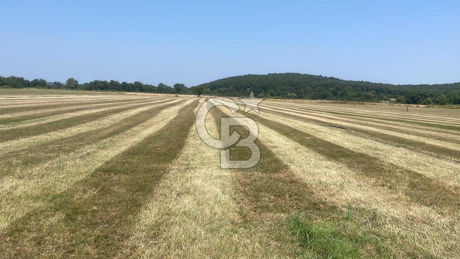 Çatalca karacaköyde satılık 7101m2 tek tapu tarla
