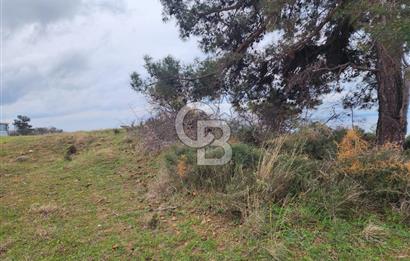 Edirne Keşan Gökçetepe Satılık 610 M2 Arsa