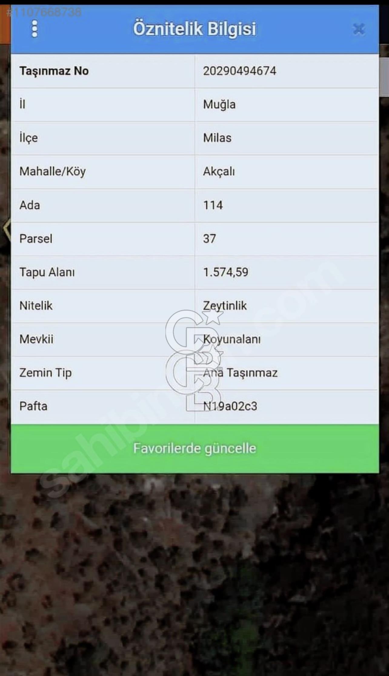 Muğla Milas da 1500 metre kare zeyt
