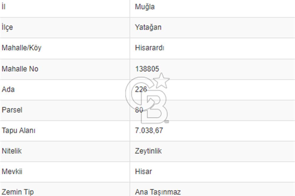 Muğla Yatağan Hisarardı Köyünde da Yatırımlık Fırsat Zeytinlik