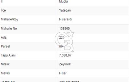 Muğla Yatağan Hisarardı Köyünde da Yatırımlık Fırsat Zeytinlik