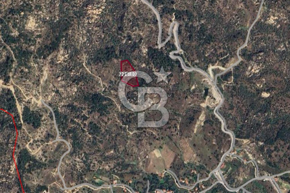 Muğla Yatağan Hisarardı Köyünde da Yatırımlık Fırsat Zeytinlik