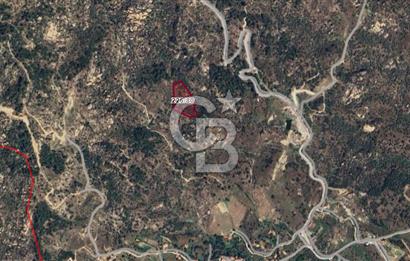 Muğla Yatağan Hisarardı Köyünde da Yatırımlık Fırsat Zeytinlik