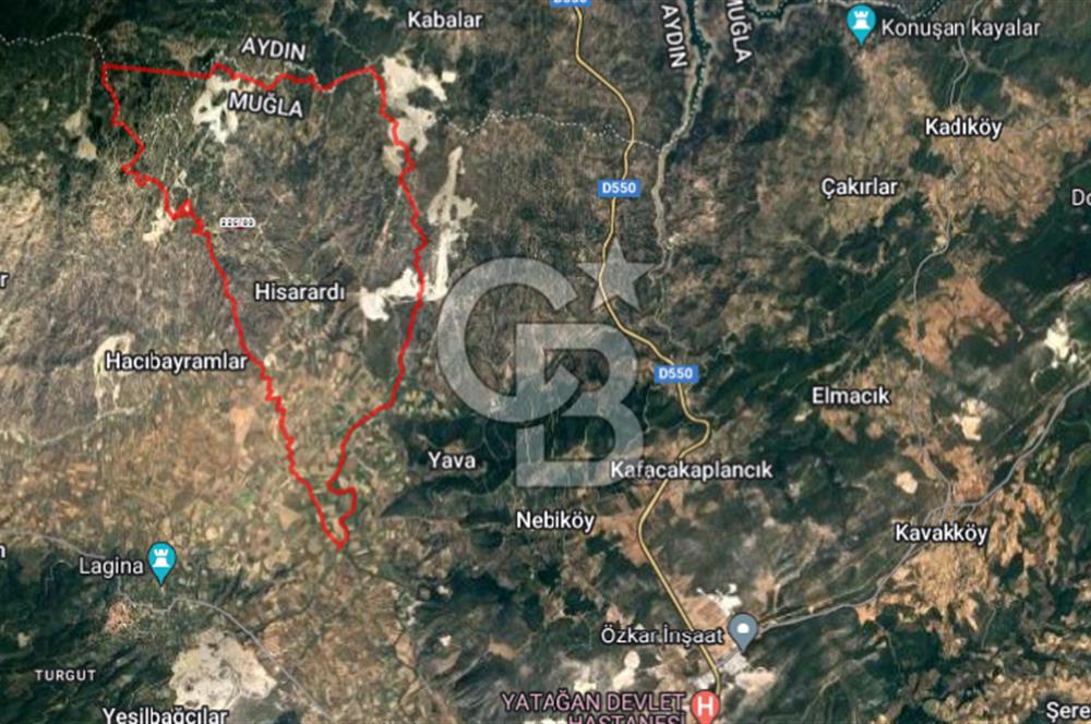 Muğla Yatağan Hisarardı Köyünde da Yatırımlık Fırsat Zeytinlik