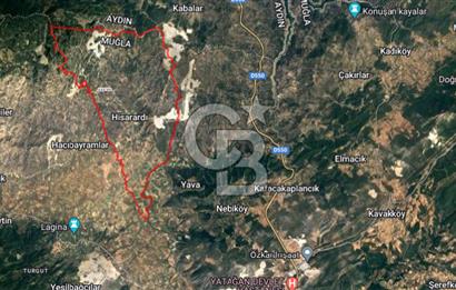 Muğla Yatağan Hisarardı Köyünde da Yatırımlık Fırsat Zeytinlik