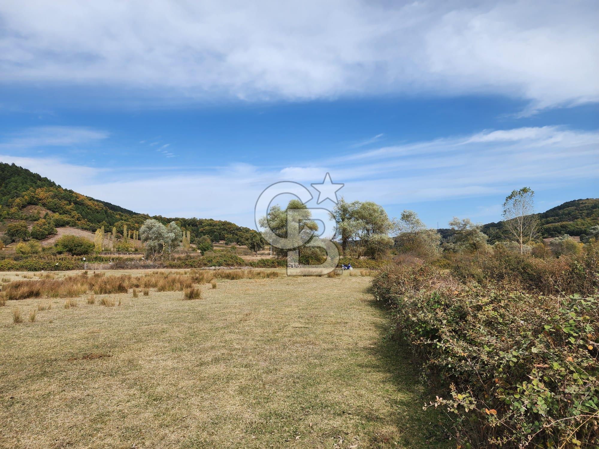 Çanakkale Yenice Yağdıran Satılık 1.992 M2 Arazi