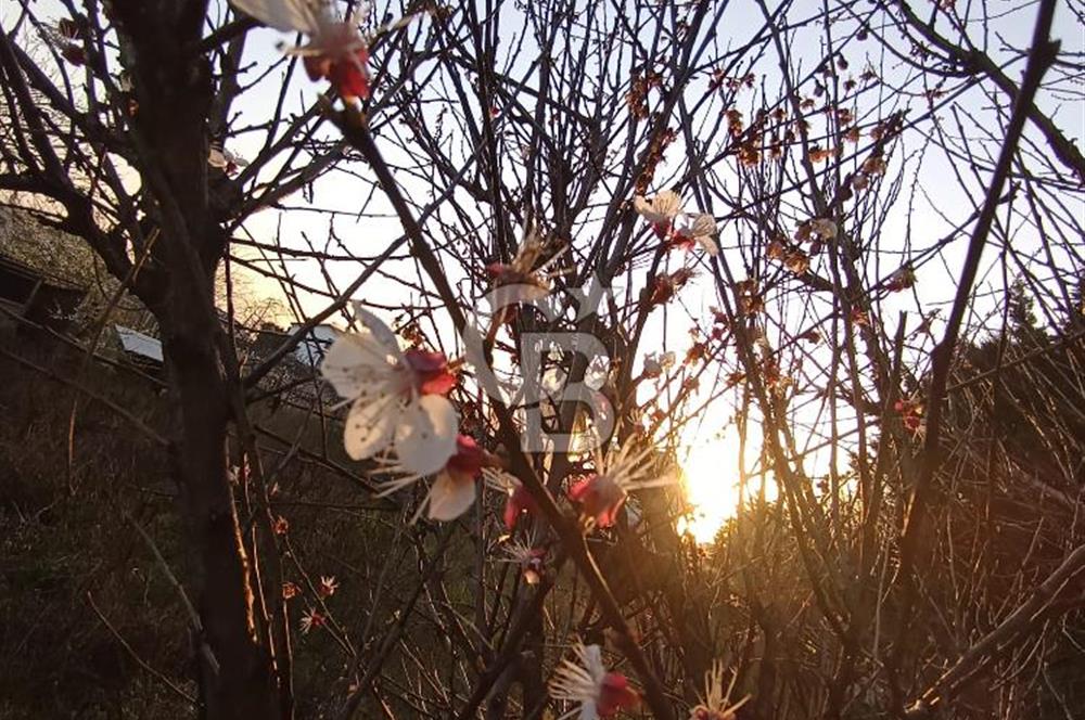 CB SE7EN'DAN SATILIK TİCARİ+KONUT İMARLI ARSA 