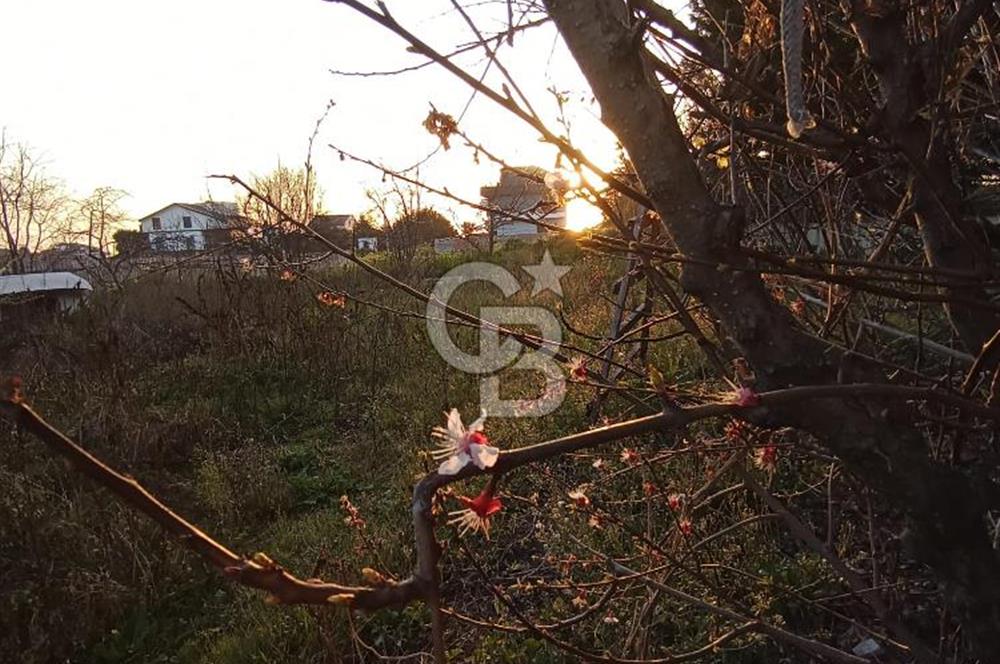 CB SE7EN'DAN SATILIK TİCARİ+KONUT İMARLI ARSA 