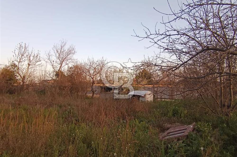 CB SE7EN'DAN SATILIK TİCARİ+KONUT İMARLI ARSA 