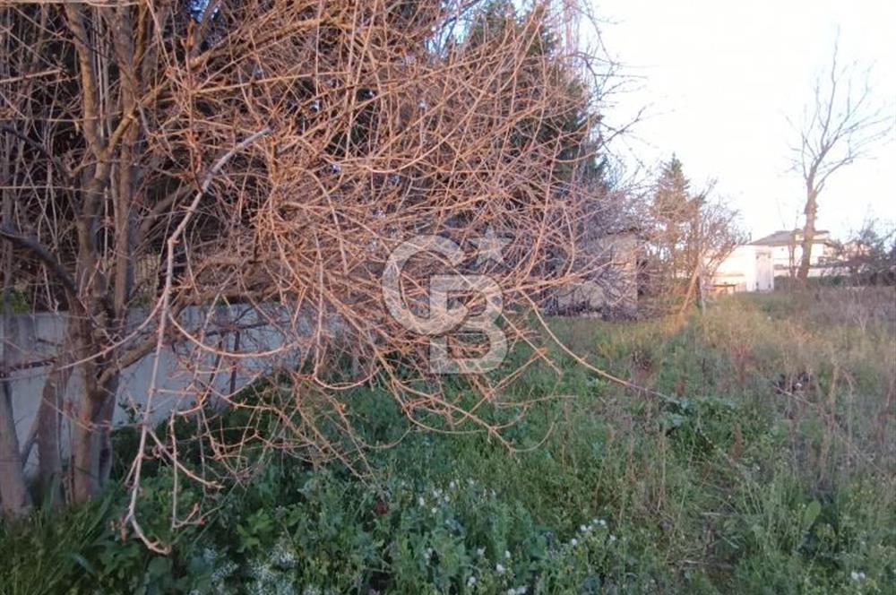 CB SE7EN'DAN SATILIK TİCARİ+KONUT İMARLI ARSA 