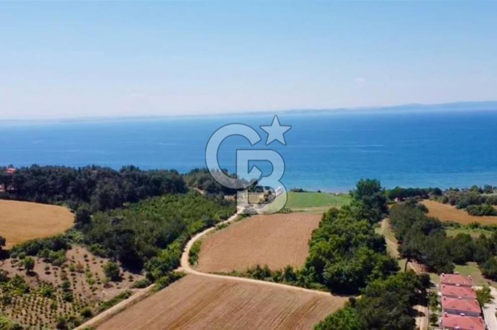 Edirne Keşan Sazlıdere Saros Satılık 978 M2 Villa İmarlı Arsa