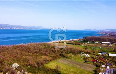 CB AKADEMİ SAPANCA YANIK GÖL KENARI 2347 m² SATILIK FIRSAT ARSA